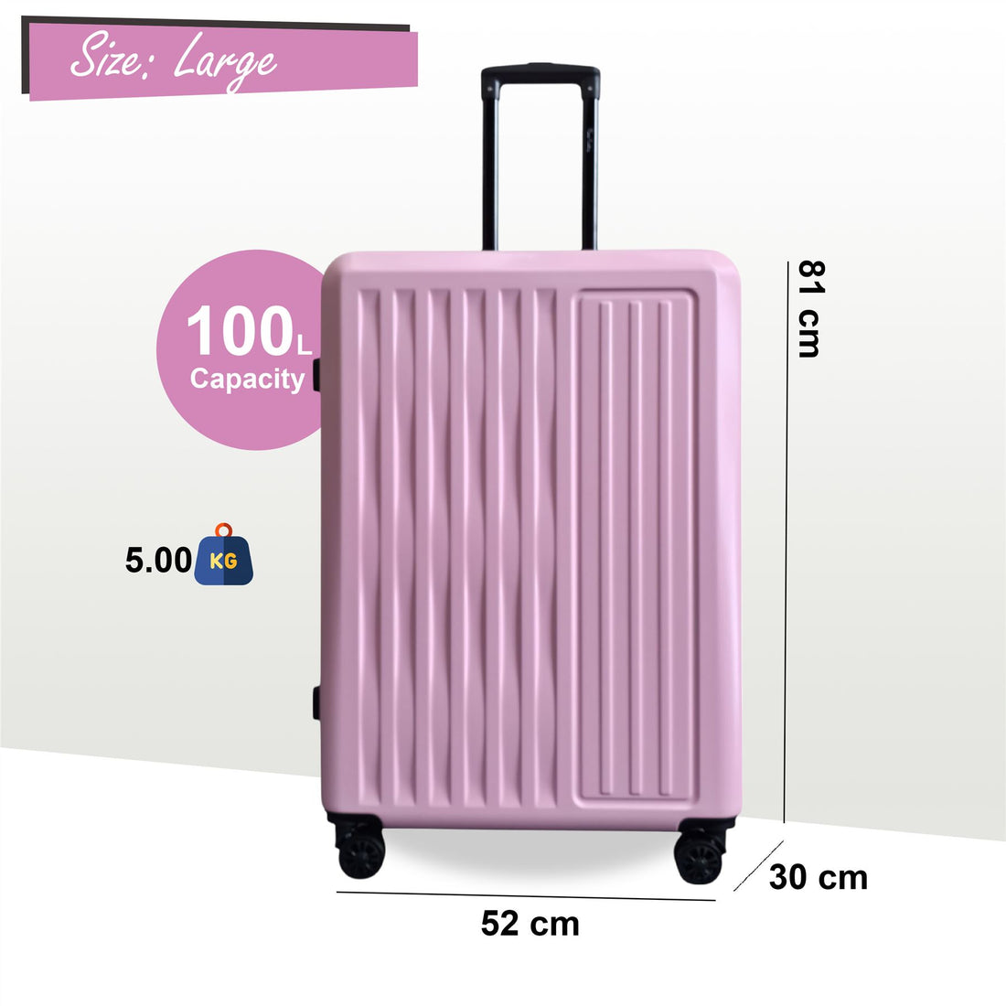 Croydon Large Hard Shell Suitcase in Pink