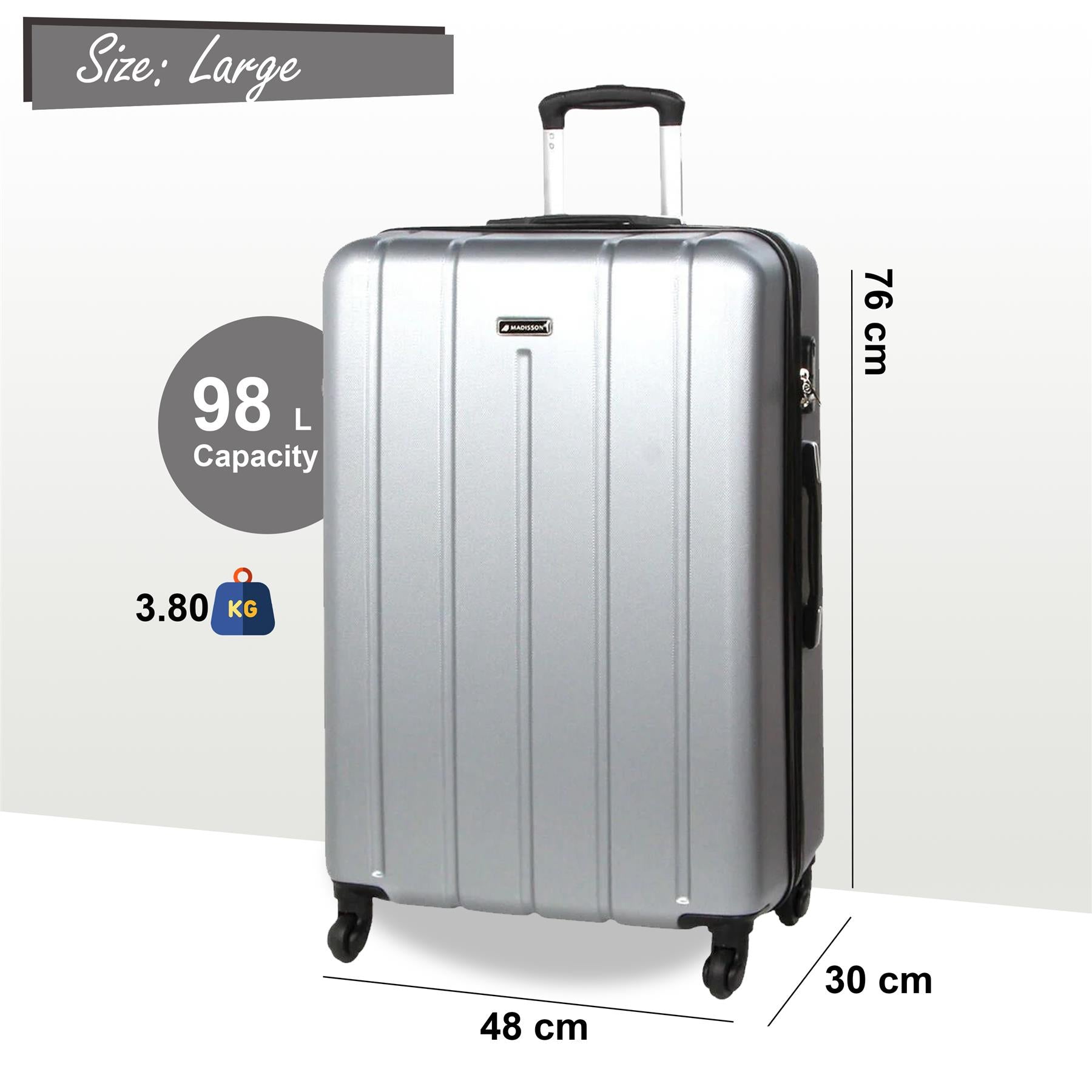 Castleberry Large Hard Shell Suitcase in Silver