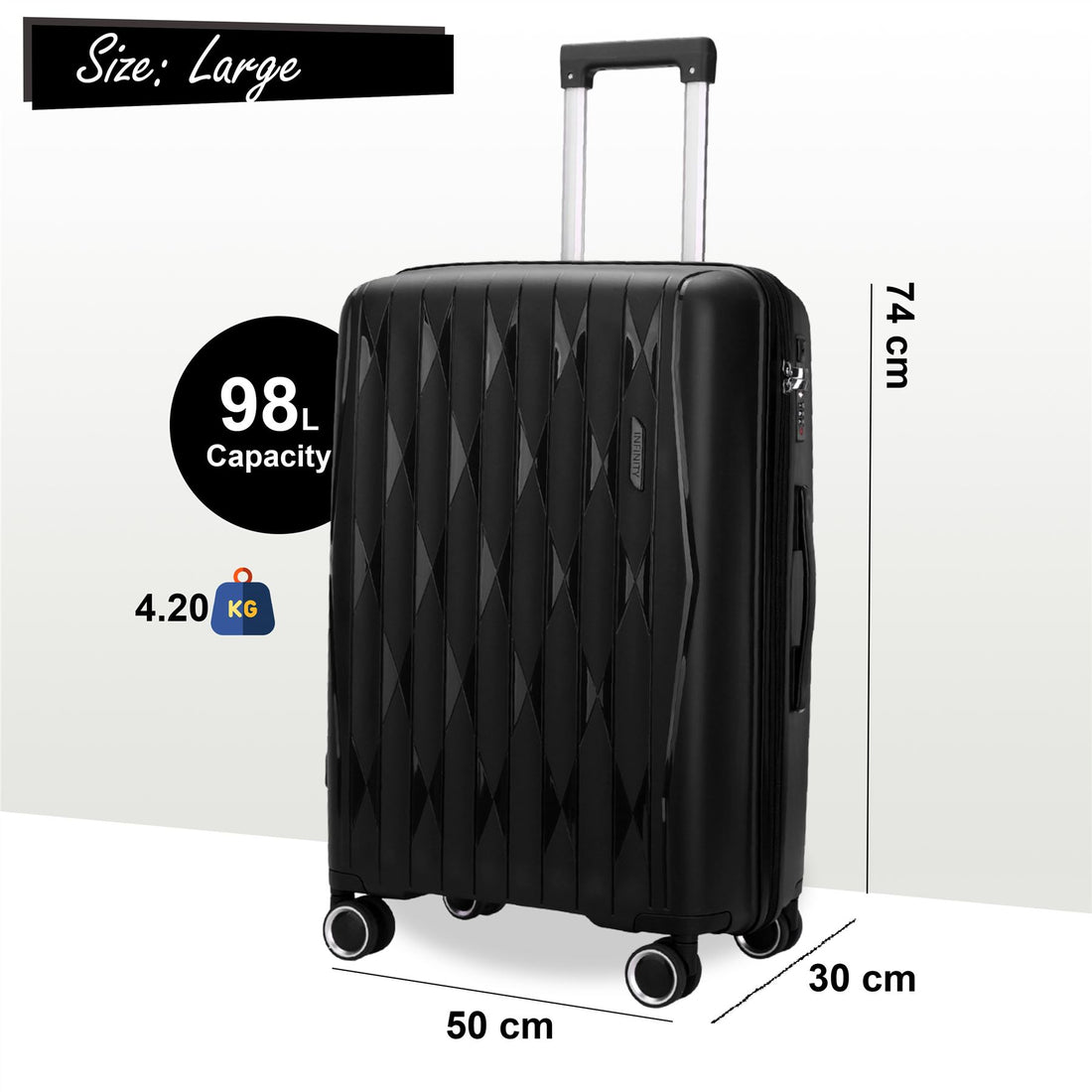Burnaby Large Hard Shell Suitcase in Black