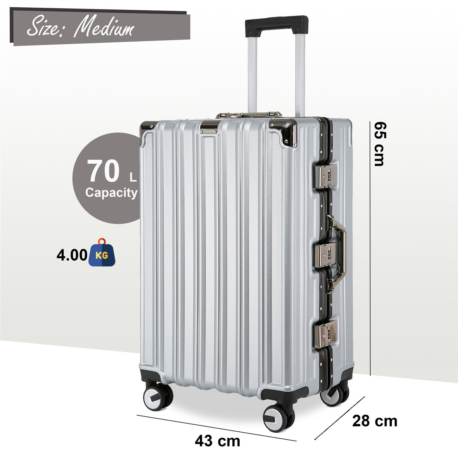 Airdrie Medium Hard Shell Suitcase in Silver