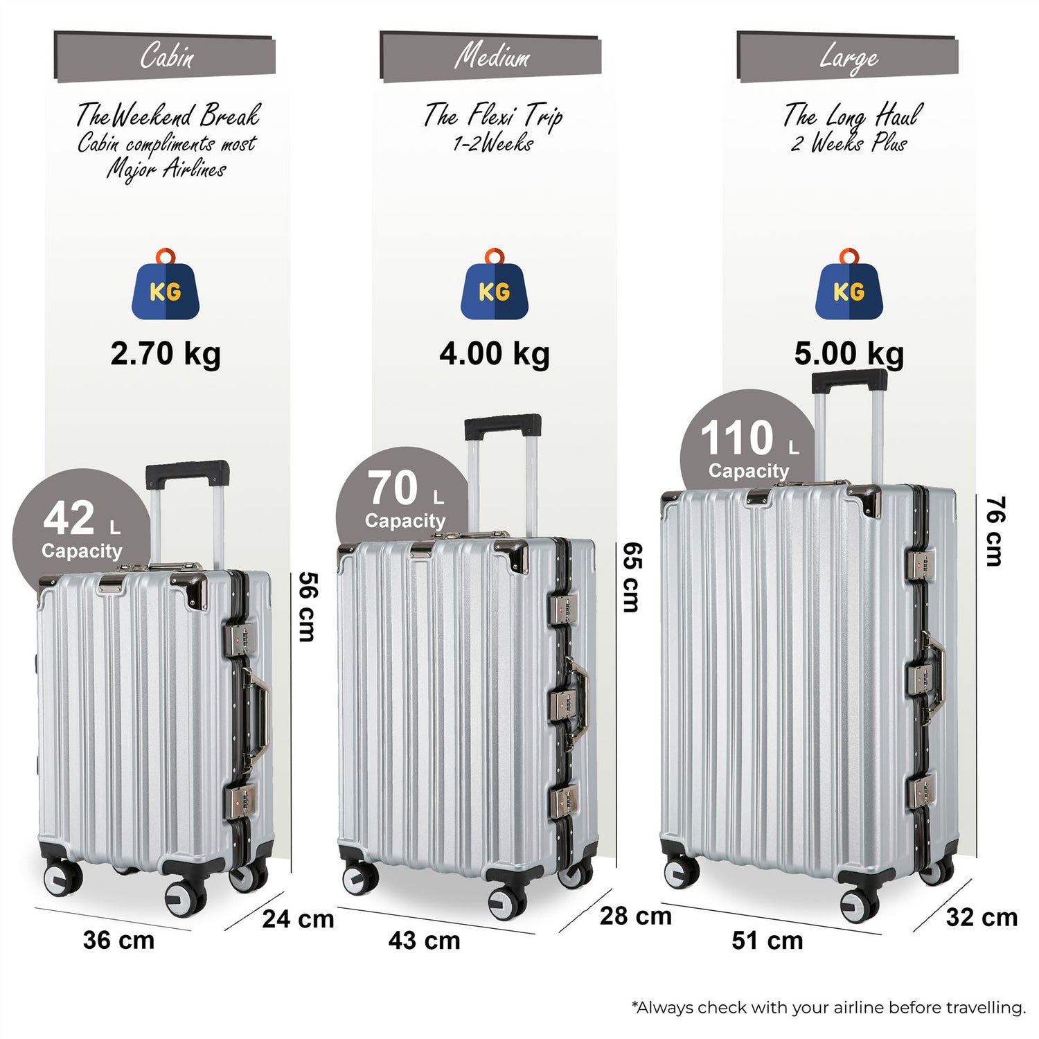 Airdrie Set of 3 Hard Shell Suitcase in Silver