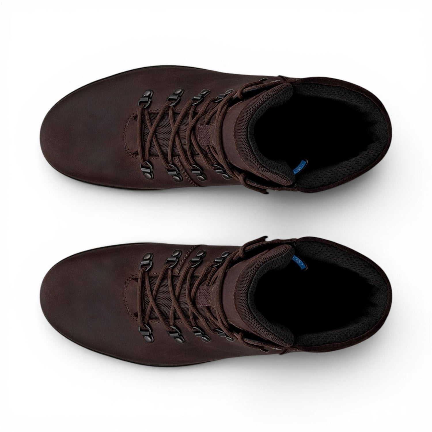 Ecco Men&