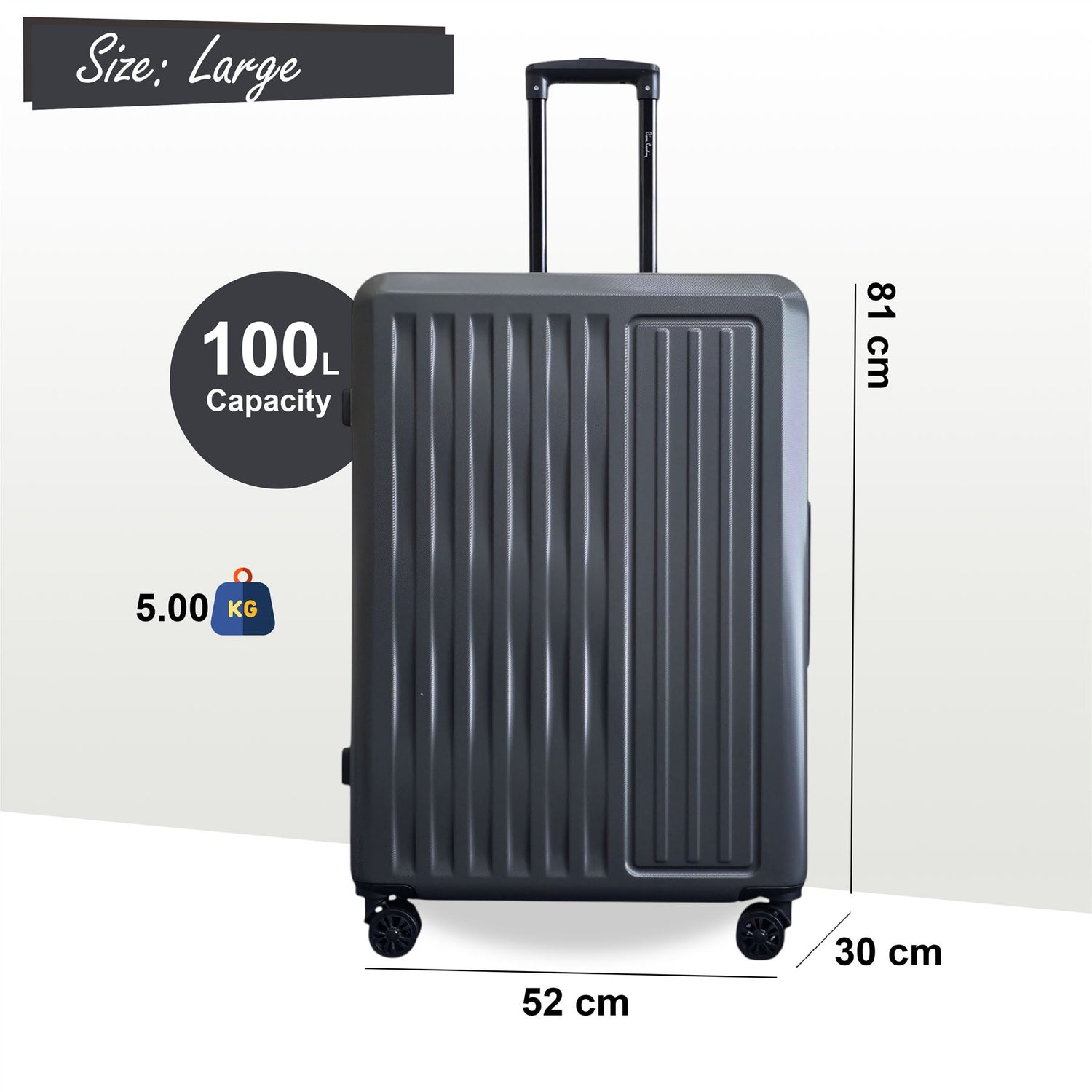 Croydon Large Hard Shell Suitcase in Grey