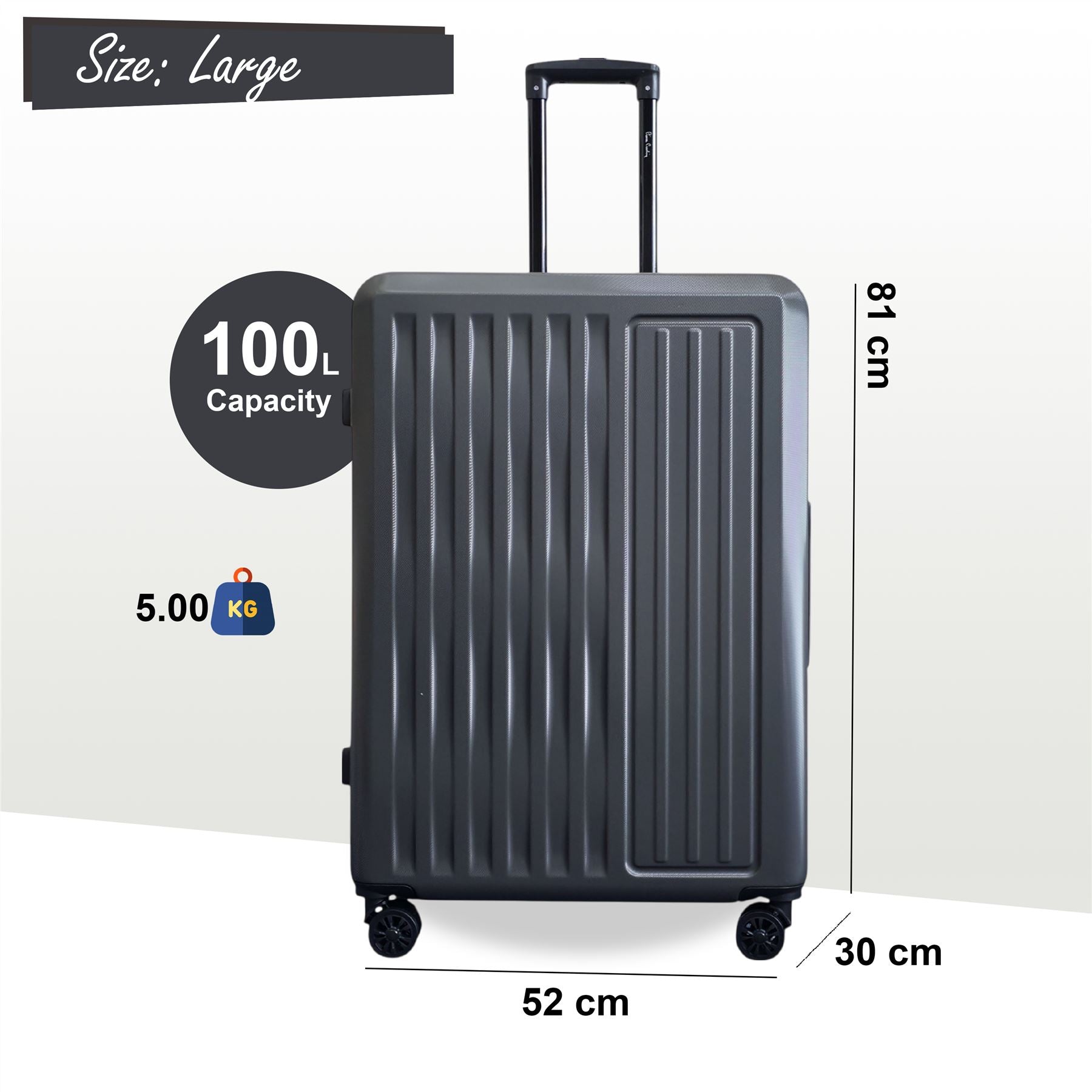 Croydon Large Hard Shell Suitcase in Grey