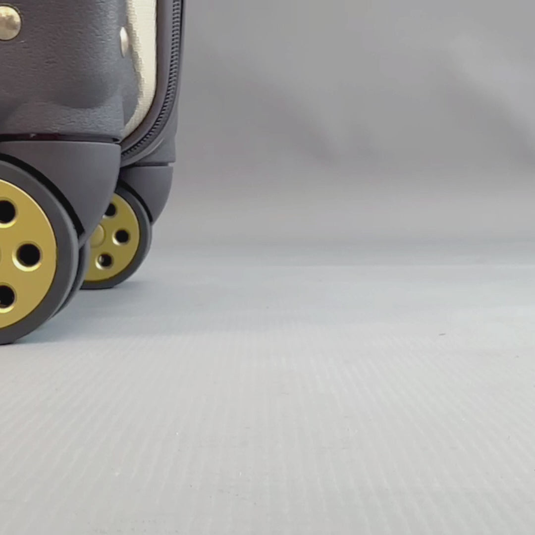 Alexandria Large Hard Shell Suitcase in Gold